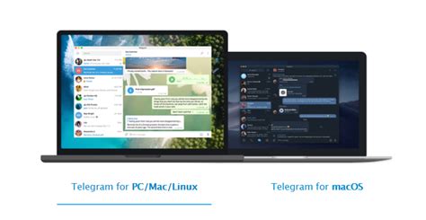 Telegram聊天软件的安全性与信任度