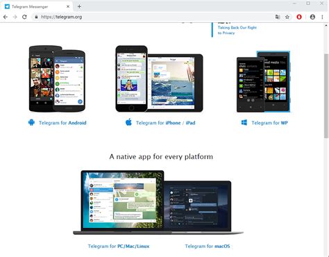 Telegram高效使用技巧指南